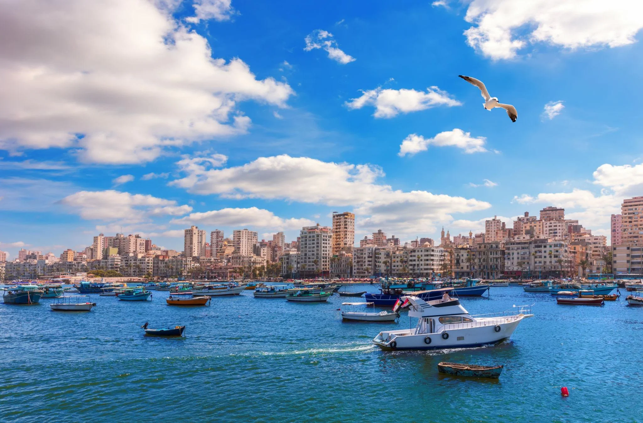 Alexandria exhibition